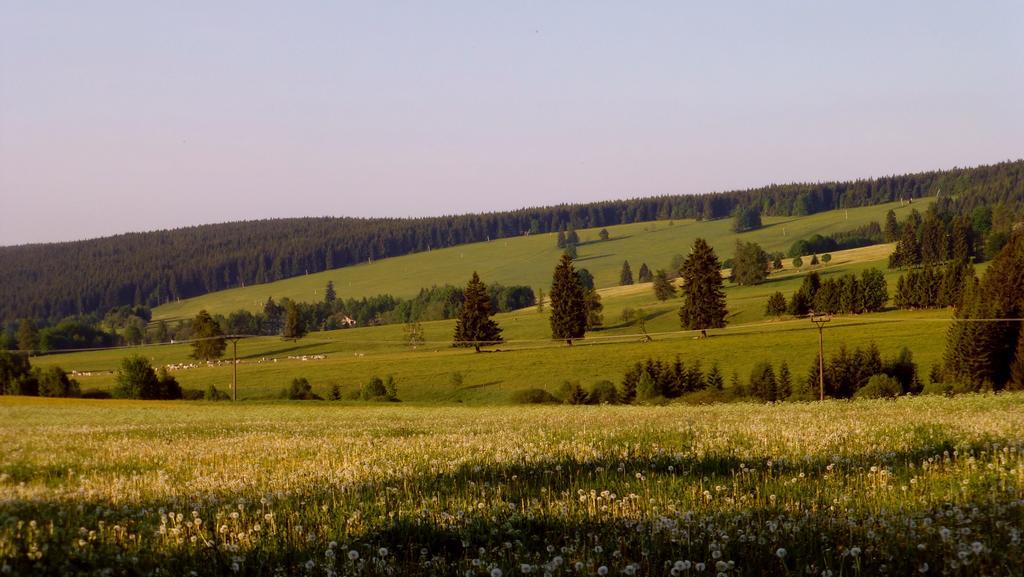 U Votapku Apartment Nove Hutě Bagian luar foto