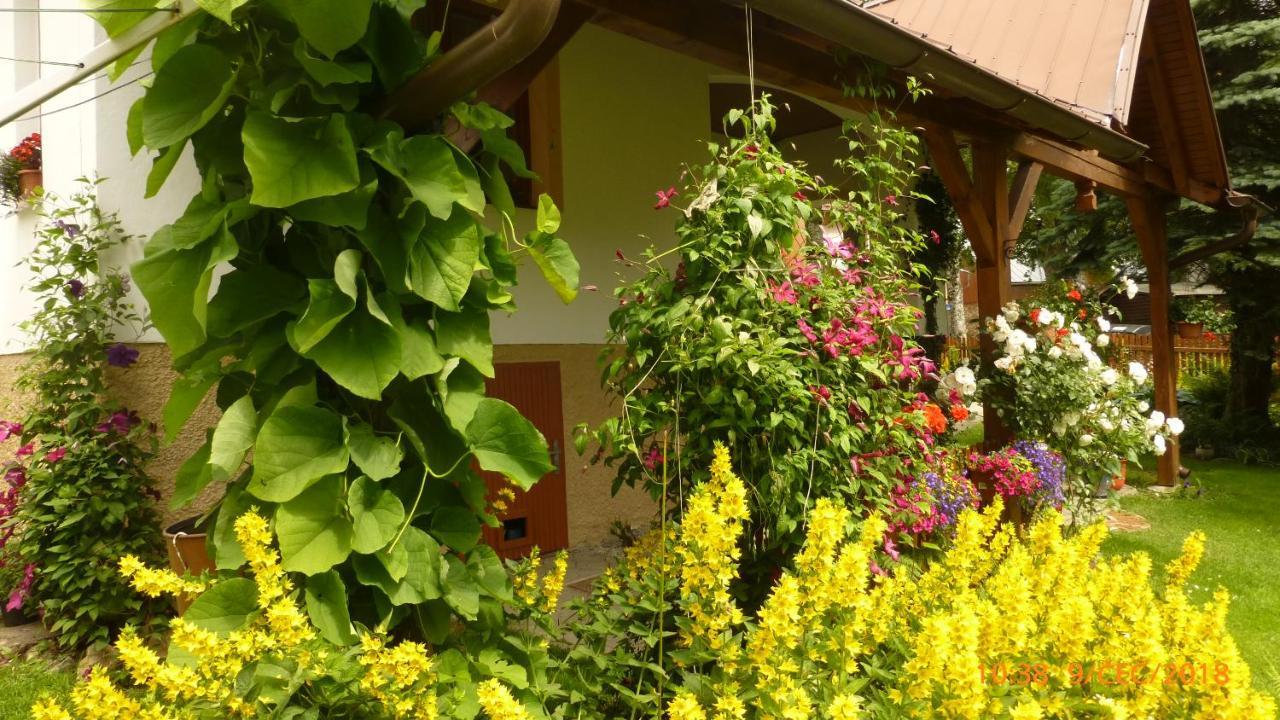 U Votapku Apartment Nove Hutě Bagian luar foto